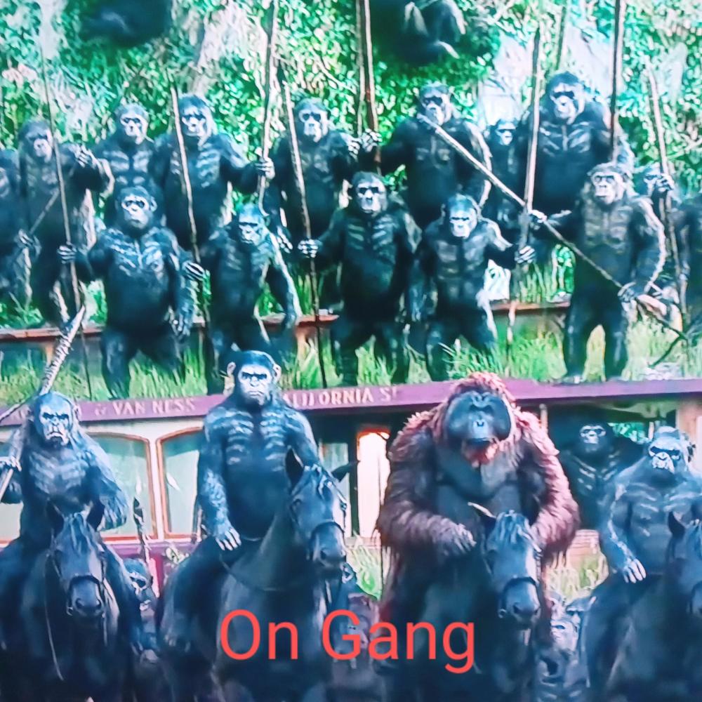 ON GANG (feat. Phg Capo & I AM LEGEND) (Explicit)