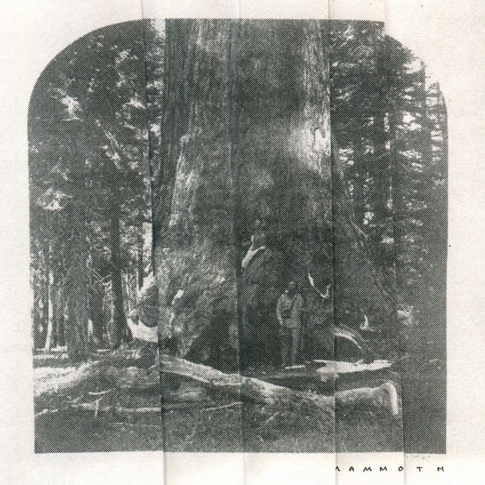 Mammoth