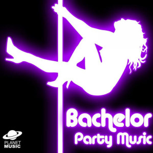 อัลบัม Bachelor Party Music ศิลปิน The Hit Co.