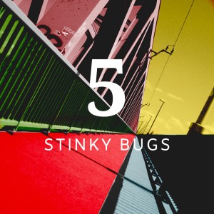 Listen to Légy Szíves song with lyrics from Stinky Bugs
