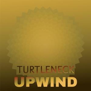 Various Artists的專輯Turtleneck Upwind