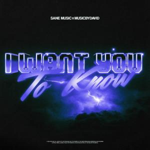 收聽Sane Music的I Want You To Know歌詞歌曲