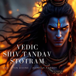 Listen to Vedic Shiv Tandav Stotram song with lyrics from Avinash Pandey