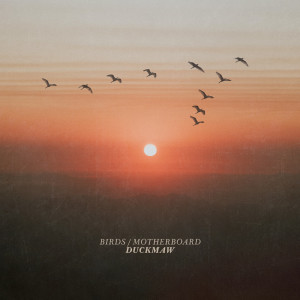 Duckmaw的专辑Birds / Motherboard