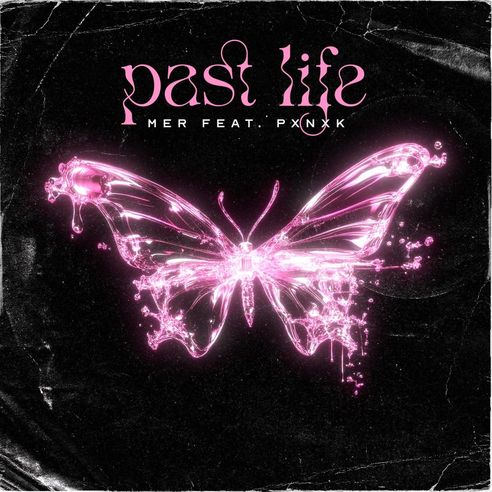 Past Life (feat. Pxnxk) (Explicit)