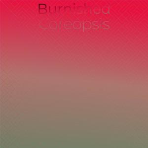 Various Artists的專輯Burnished Coreopsis