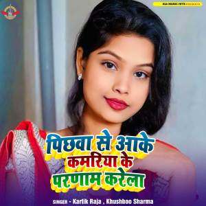 Album Pichhawa Se Aake Kamariya Ke Parnam Karela from 