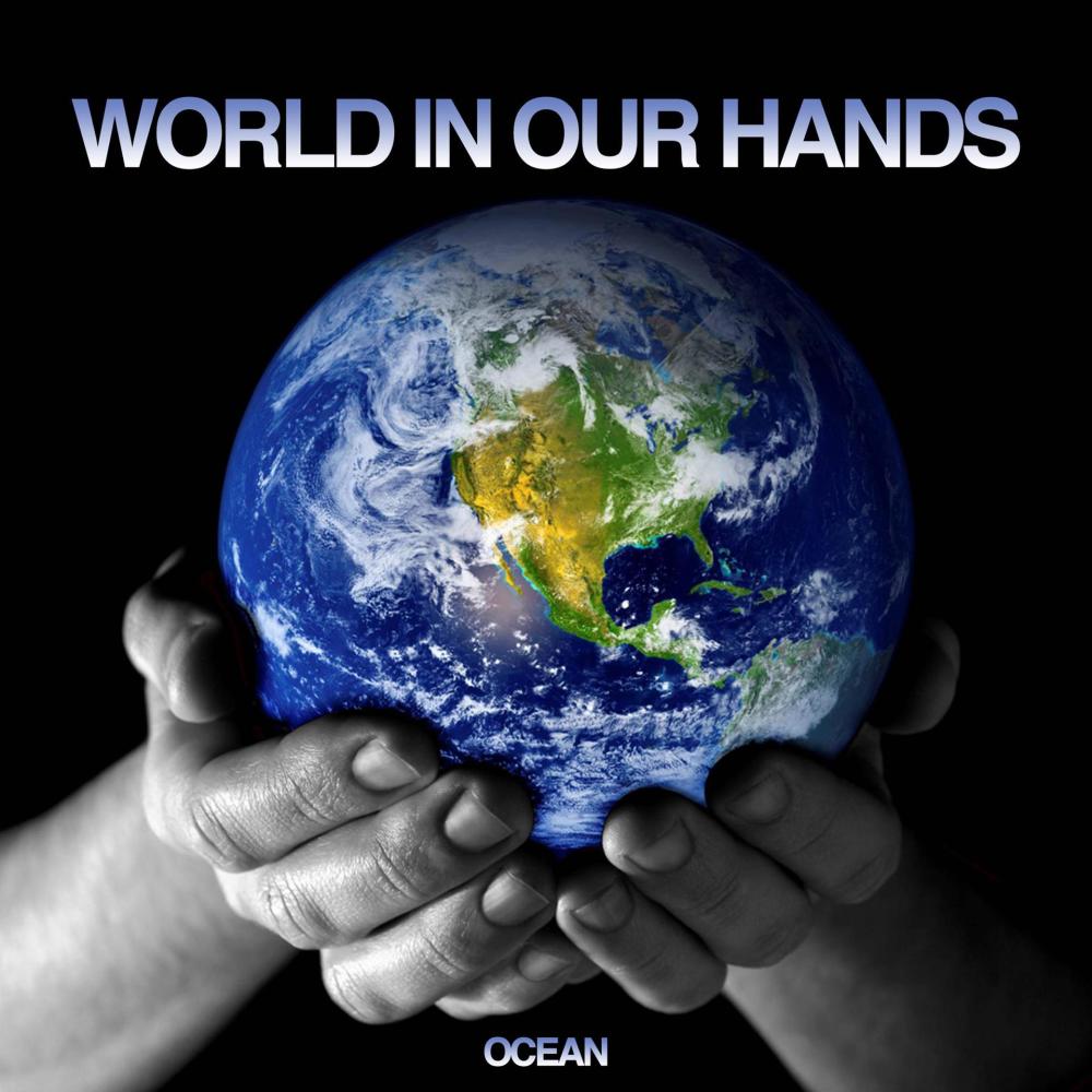 World in Our Hands (Bbop & Roksteadi Radio Edit) (Radio Edit)