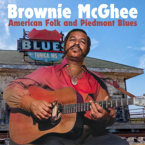 Brownie McGhee & Sonny Terry的專輯American Folk and Piedmont Blues