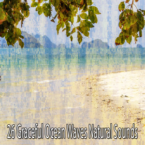 海洋之聲的專輯26 優美的海浪自然聲音