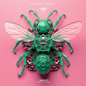 收聽Kito Jempere feat. Budūchi & Ni!的Kabwato (Ewan Pearson Remix Acapella)歌詞歌曲