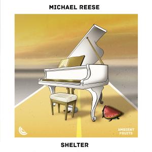 Listen to Shelter song with lyrics from Michael Reese