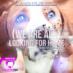 收听Leona Lewis的(We Are All) Looking for Home歌词歌曲