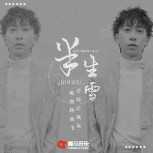收听七叔（叶泽浩）的半生雪歌词歌曲