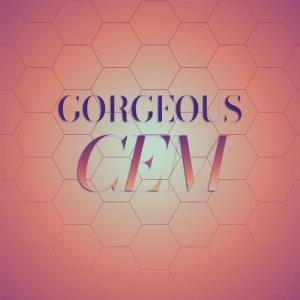 Various Artists的專輯Gorgeous Cem