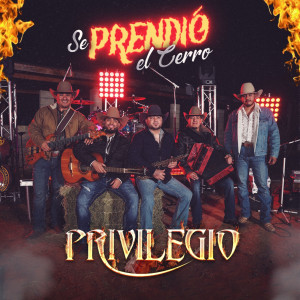 ดาวน์โหลดและฟังเพลง Ayudame A Olvidarte (En Vivo) พร้อมเนื้อเพลงจาก Privilegio