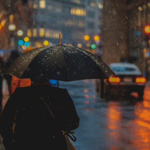 อัลบัม 01 Weather Songs: Deep Sound Journeys ศิลปิน 24H Rain Sounds