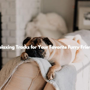 Relaxing Tracks for Your Favorite Furry Friend