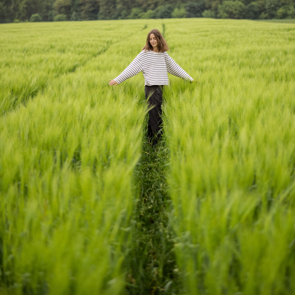 Tune of the Tranquil Meadow
