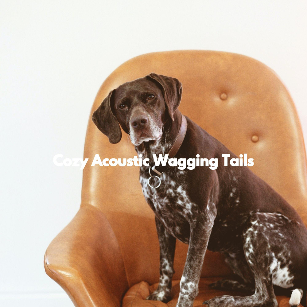 Quiet Ambiance for Groggy Doggy