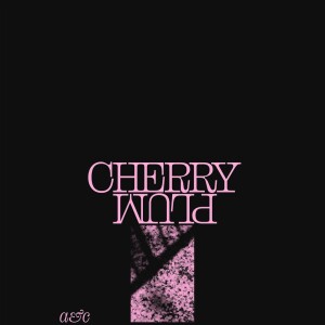 Listen to Cherry Plum song with lyrics from Astronauts, Etc.