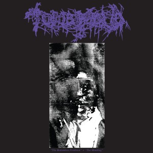 ดาวน์โหลดและฟังเพลง (Regions of Sorrow) Intro / Demon Ruins พร้อมเนื้อเพลงจาก Tomb Mold