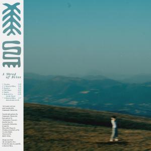 ดาวน์โหลดและฟังเพลง A Shred of Bliss (slowed and reverb) พร้อมเนื้อเพลงจาก You