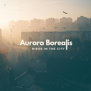 Aurora Borealis的專輯Birds In The City