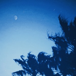 Album Morning Moon from Linus