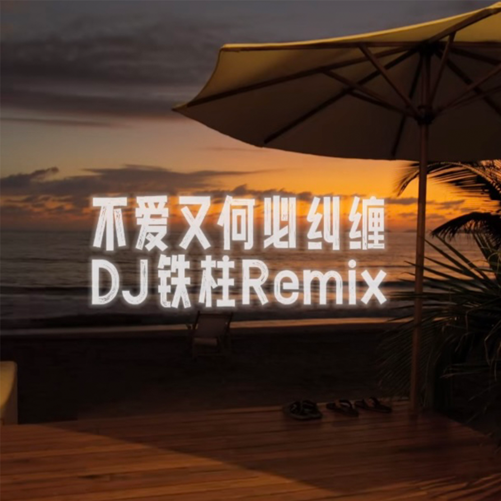不爱又何必纠缠 (DJ铁柱Remix版)