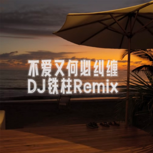 DJ铁柱的专辑不爱又何必纠缠 (DJ铁柱Remix版)