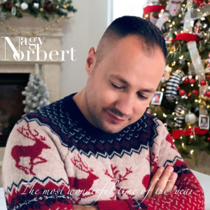 Norbert Nagy的专辑The Most Wonderful Time of the Year