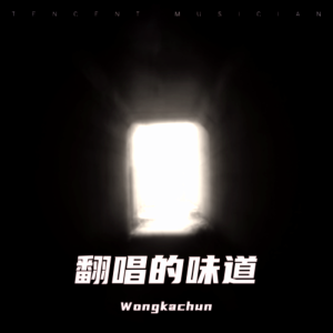 收聽Wongkachun的一雙手 (cover: 林奕匡) (Live)歌詞歌曲