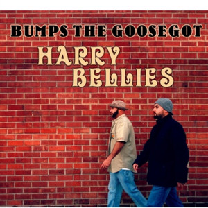 Listen to State of Mind song with lyrics from Bumps The Goosegot