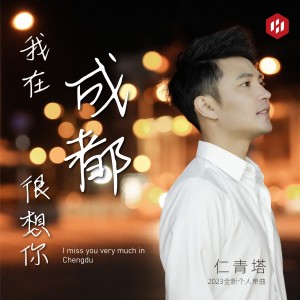 Listen to 我在成都很想你 (伴奏) song with lyrics from 仁青塔