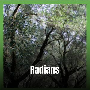 Album Radians from Various