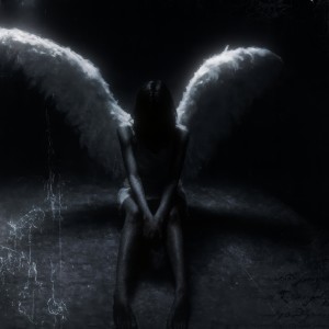 Album velour wings from Kute