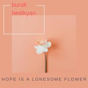 Burak Bedikyan的專輯Hope is a Lonesome Flower