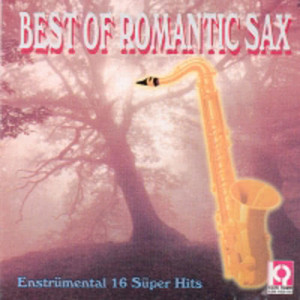 收聽Enstrümantal的You Are My Everyting歌詞歌曲
