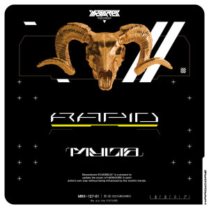 ดาวน์โหลดและฟังเพลง Rapid พร้อมเนื้อเพลงจาก Various Artists