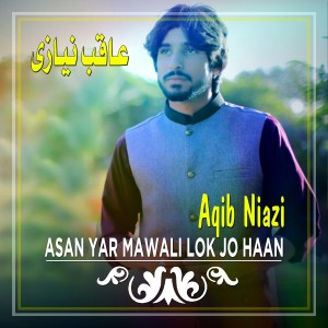 收聽Aqib Niazi的Asan Yar Mawali Lok Jo Haan歌詞歌曲