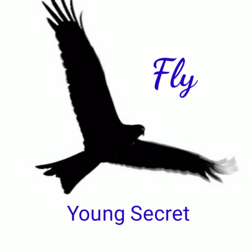 Fly (完整版)