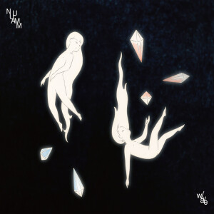Listen to full of fool song with lyrics from NUUAMM