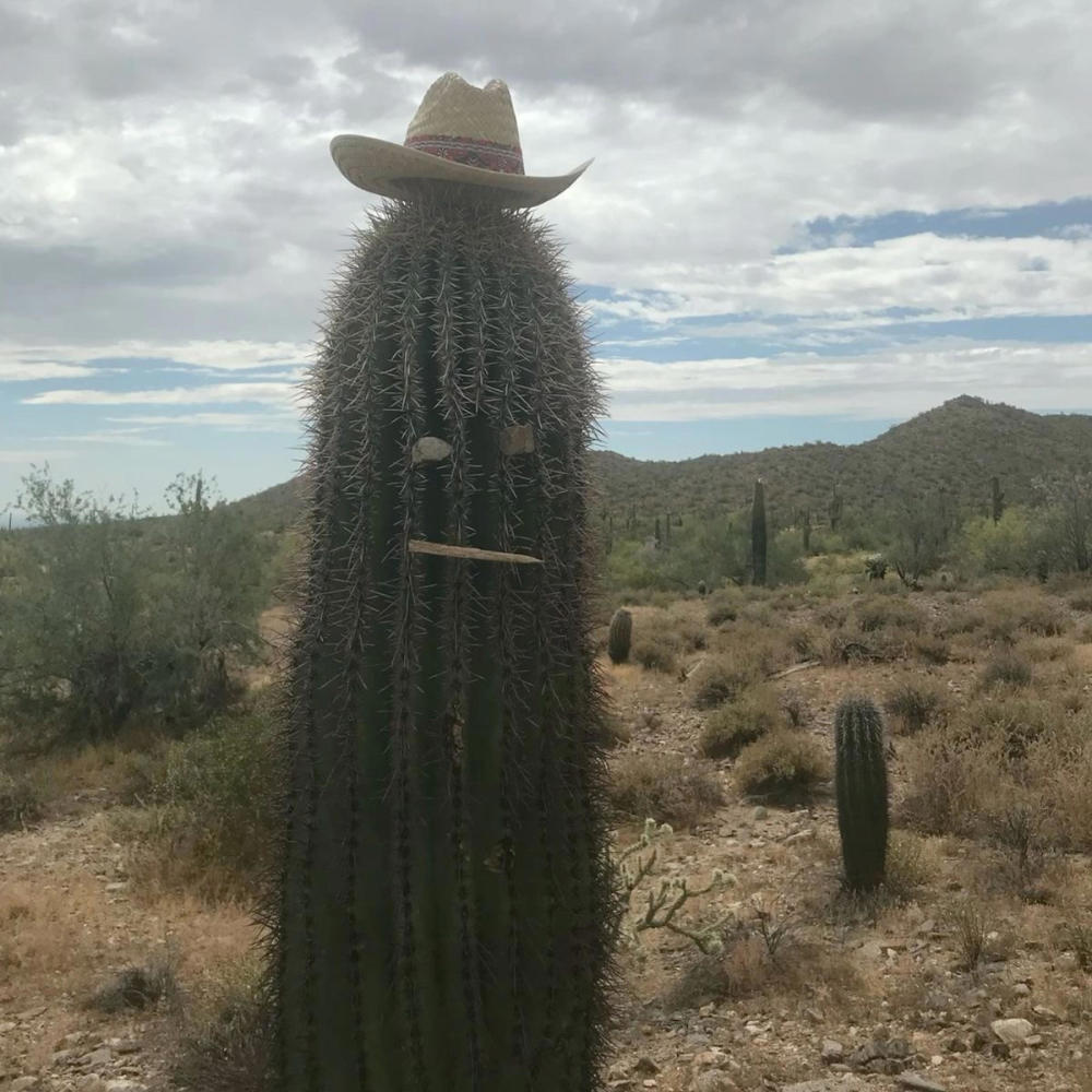 Arizona (Explicit)