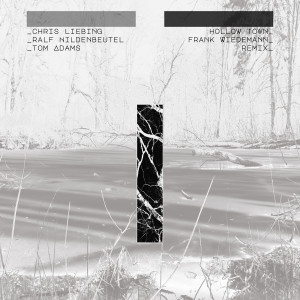 收聽Chris Liebing的Hollow Town (Frank Wiedemann Remix)歌詞歌曲