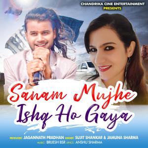 Album Sanam Mujhe Ishq Ho Gaya from 