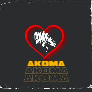 nana ama的專輯Akoma