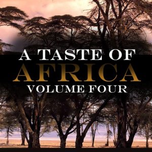 Various Artists的專輯A Taste Of Africa Vol 4