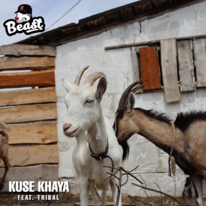 Beast Rsa的專輯Kuse Khaya