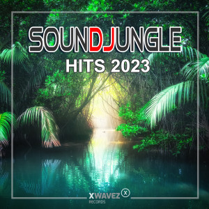 Listen to X-Ray (Miklos Malek Radio Mix) song with lyrics from Hella Donna